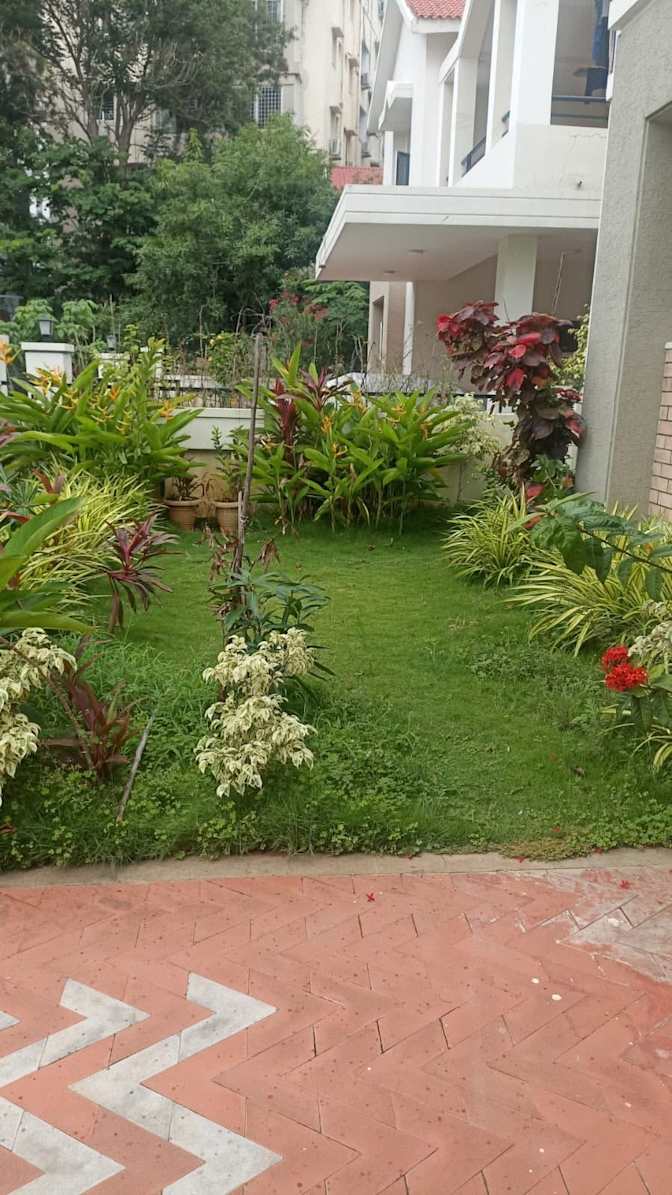 Photo of Ankith Jain's room