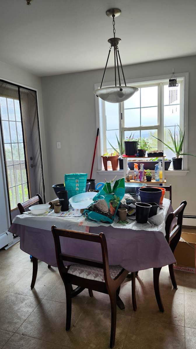 Helen Plummer's room