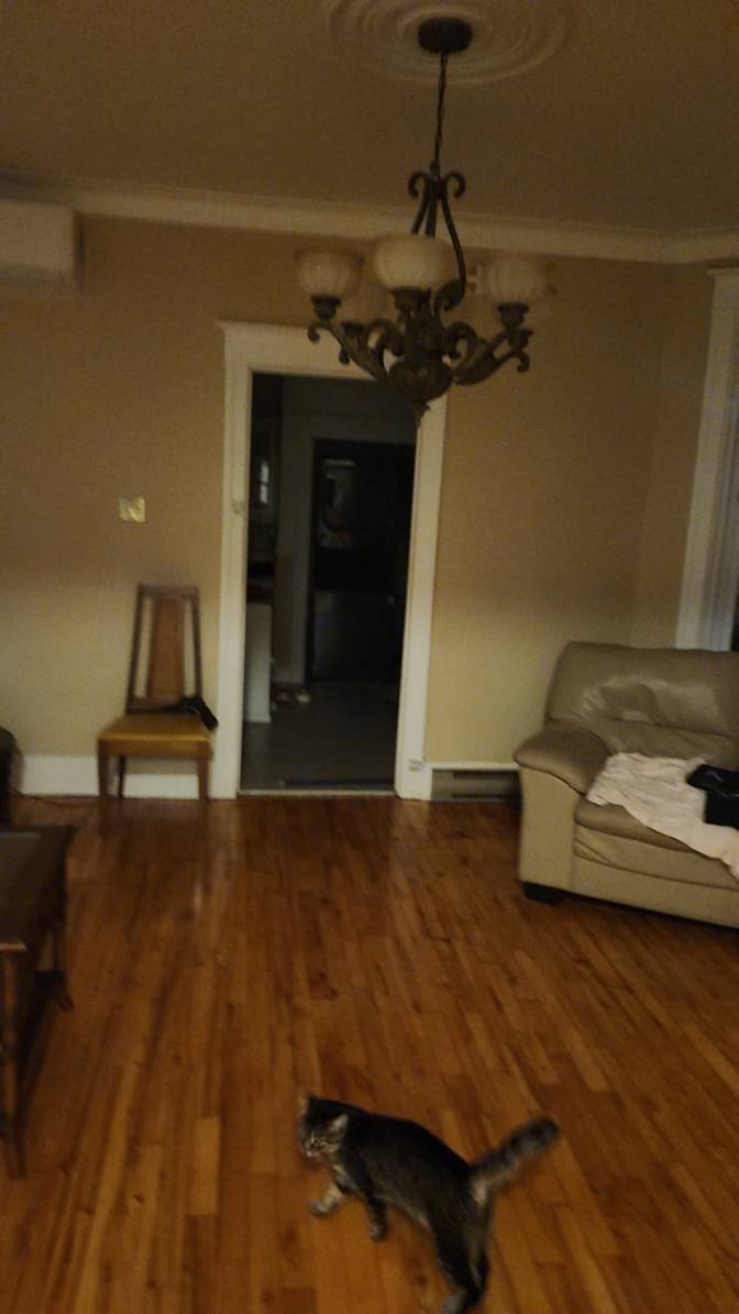 Photo of Michele Bechara's room