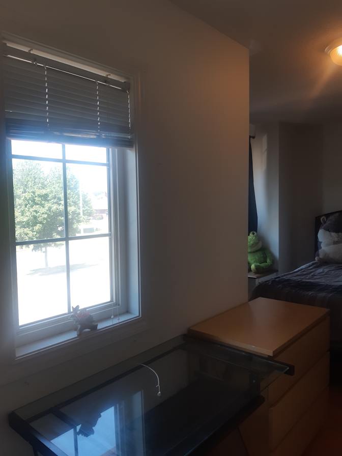 Photo of Lily's room