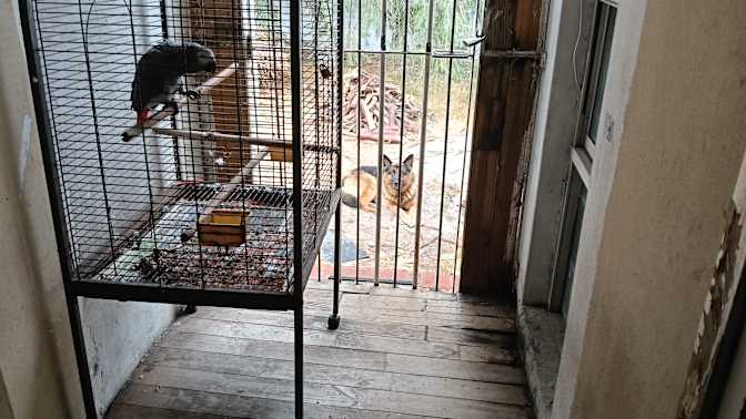 Photo of Mukesh's room