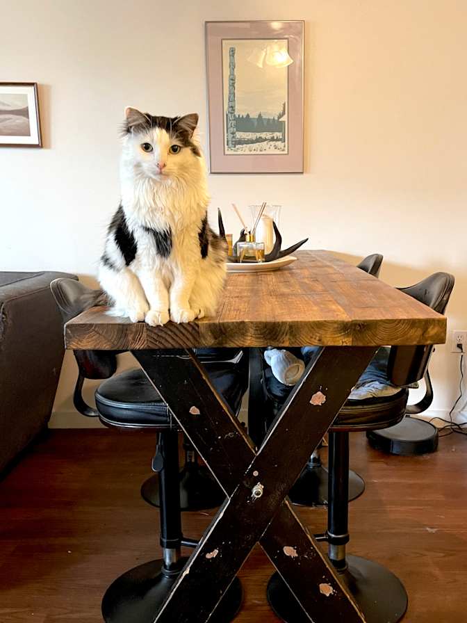 Photo of Jesse's room