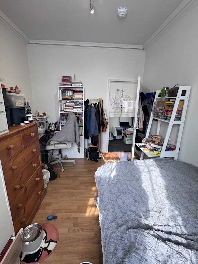 Photo of Sylvia's room
