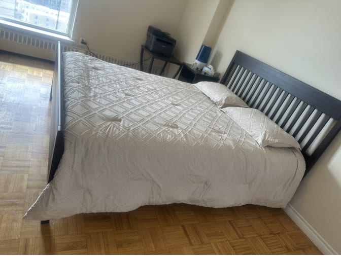 marjan shaker's room