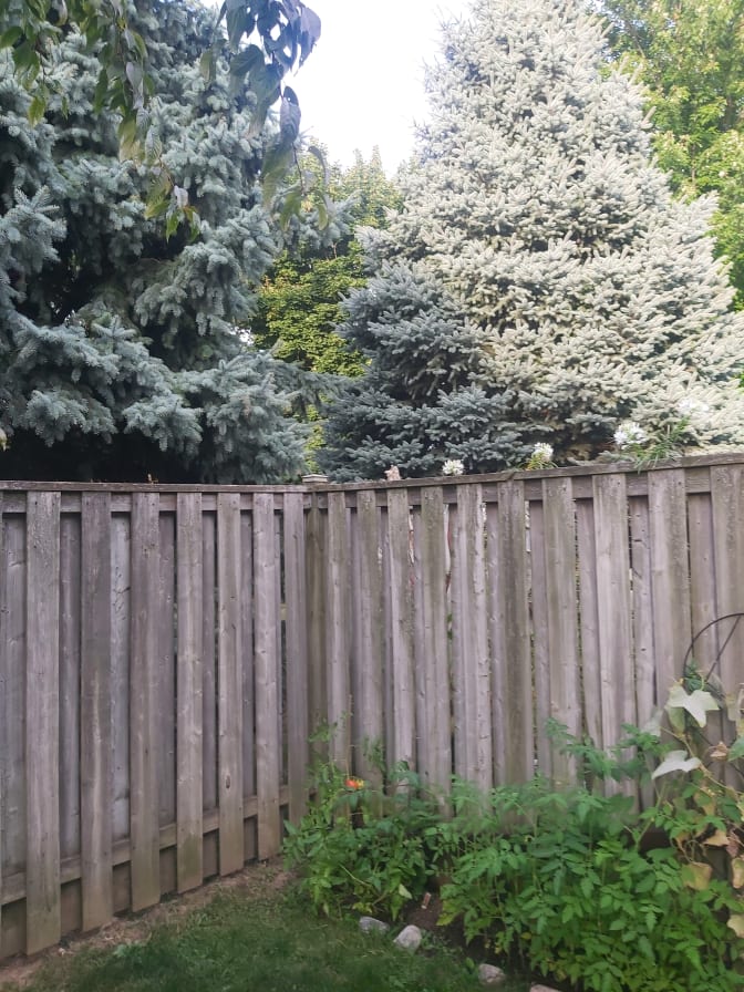 Photo of Ester's room