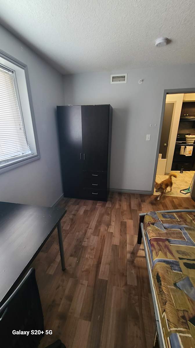 Photo of Aliki's room