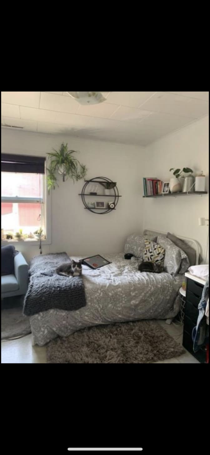 Photo of alia's room
