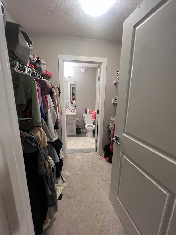 Photo of Dorsa's room