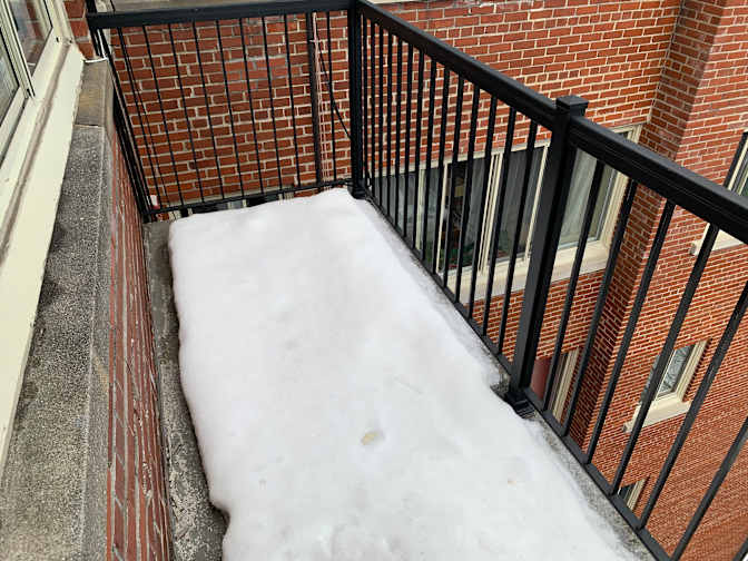 Yasmine Erradi's room