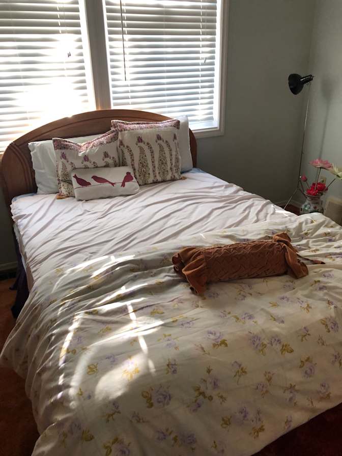 Steve Tanasiuk's room