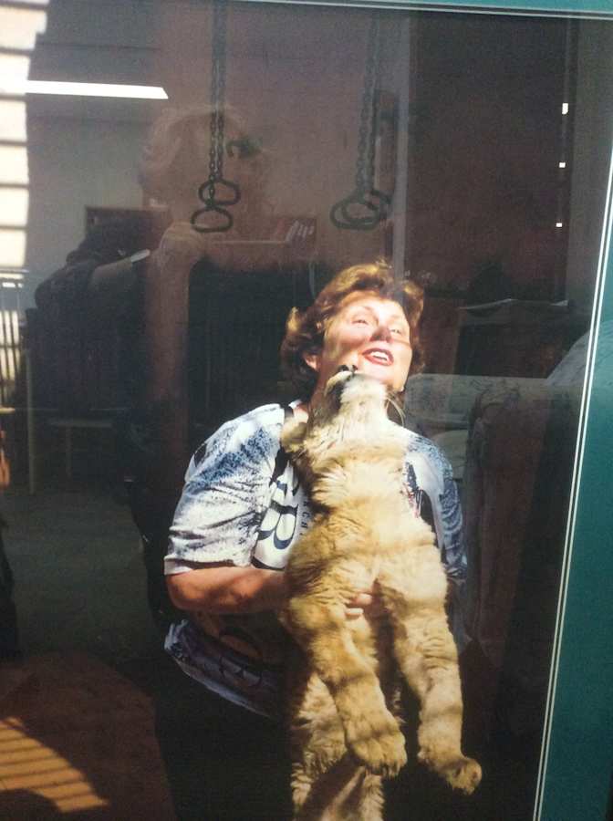 Jane Ann Summers's room