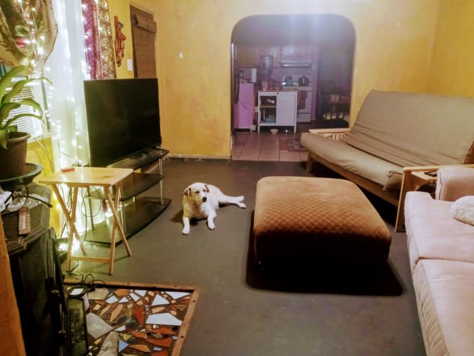 Photo of "La que da" Cohesive Living House's room