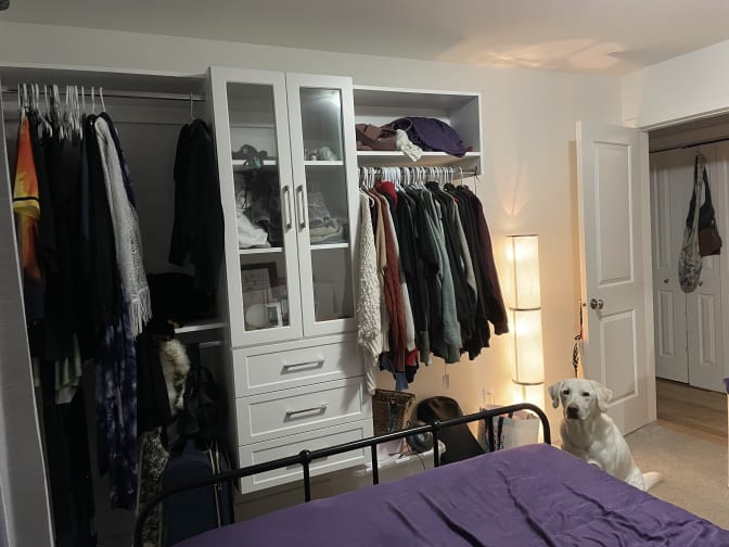 Photo of rani's room