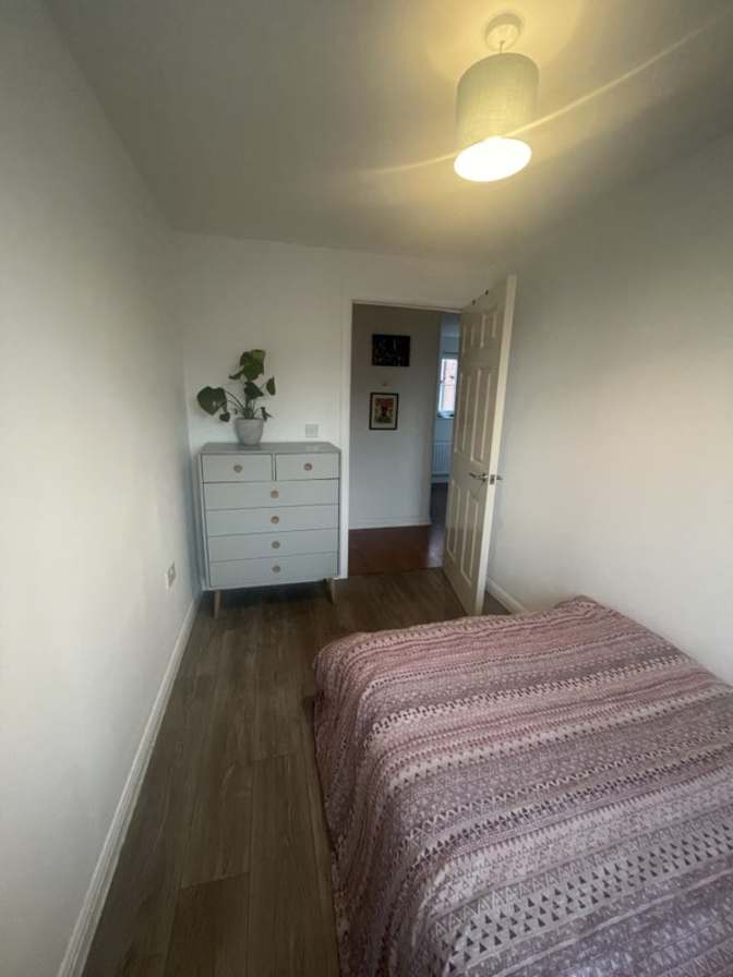 Photo of Phaidra's room