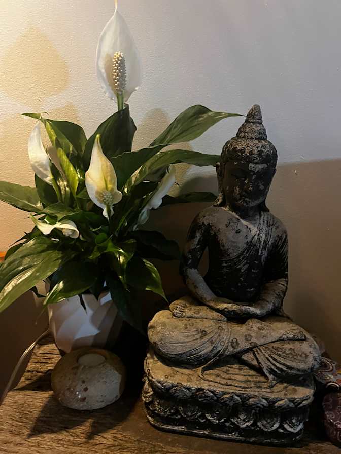 Photo of Leanne's room