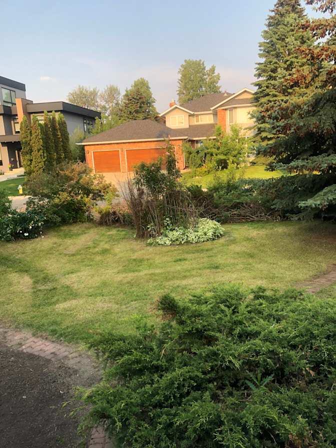 Steve Tanasiuk's room