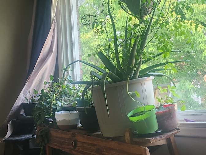 Rebecca Russo's room