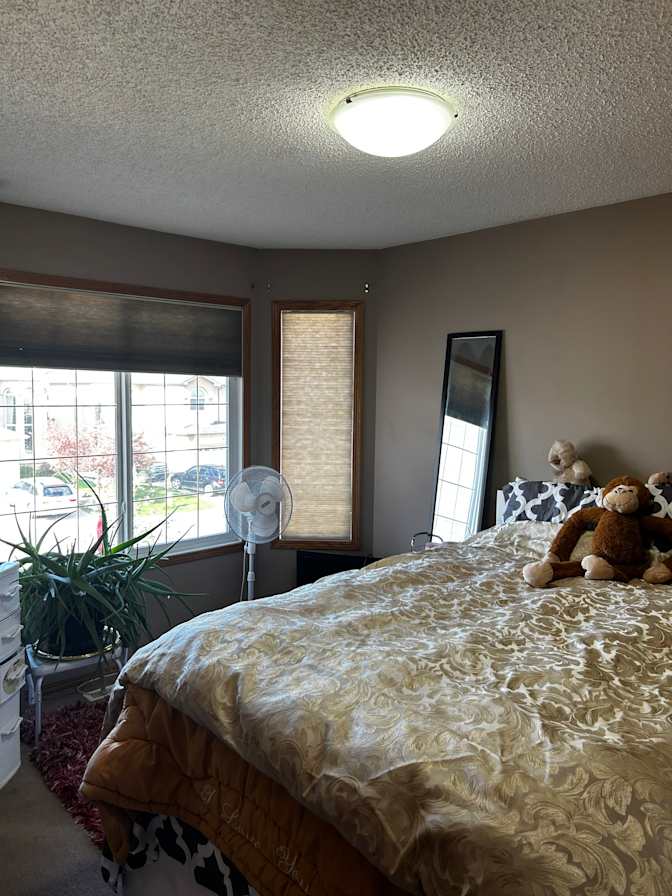 Nalini Prasad's room