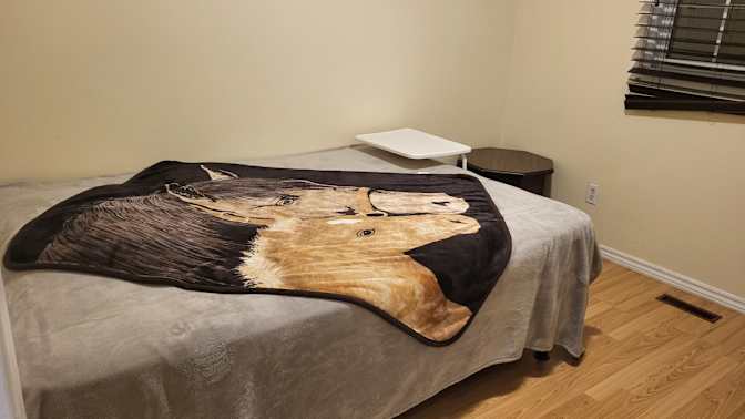 Photo of Nancy's room