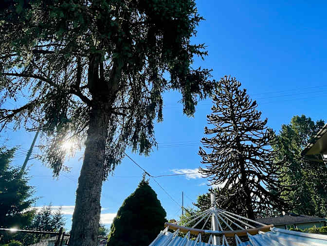 Kayla Stockton's room