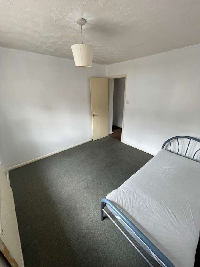 Photo of Lukas Placek's room