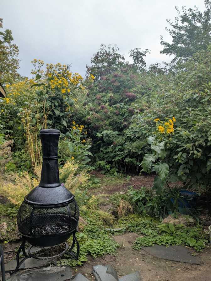 NICOLA THOMAS's room