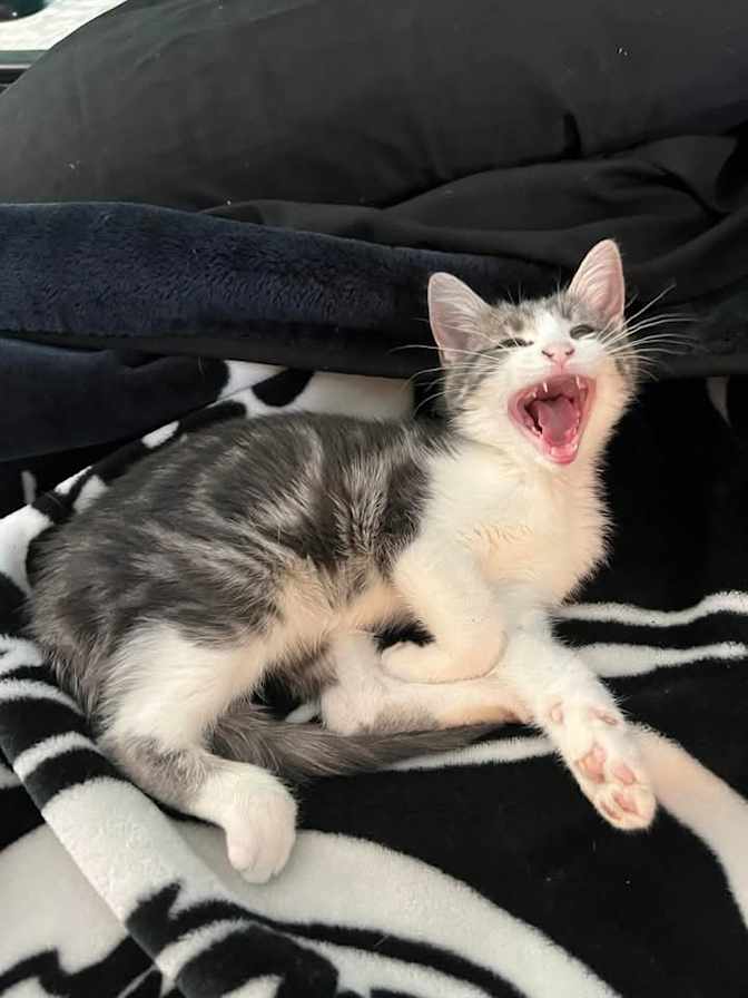 Allan Lancaster's room