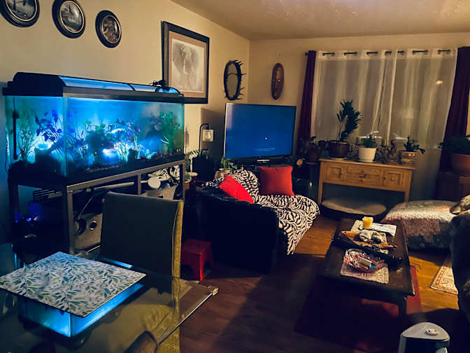 Photo of Jackie's room