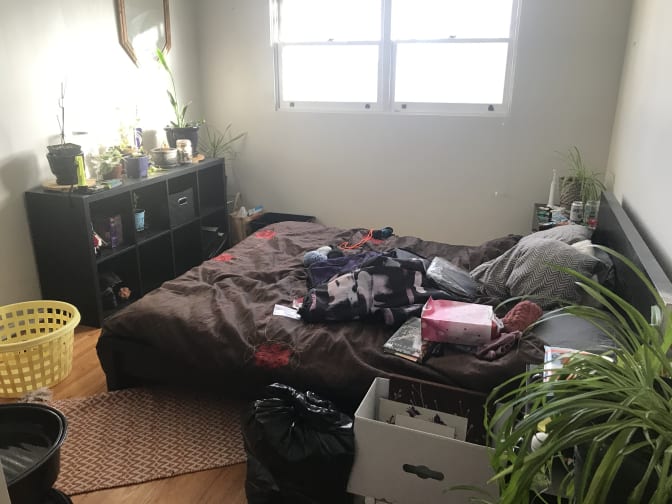 Photo of Amy's room