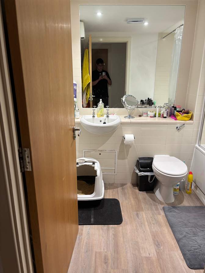 Photo of Barney's room