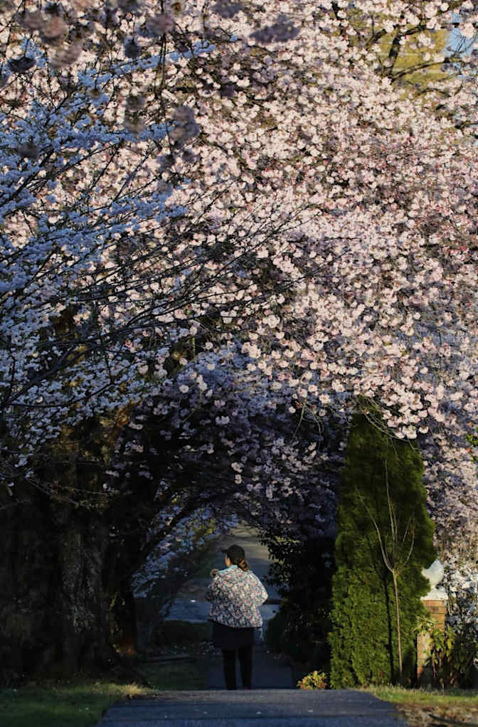 Photo of Kevin's room