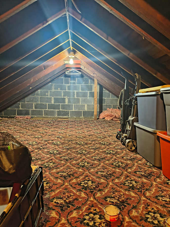 Photo of Tanya Ella Brosius's room