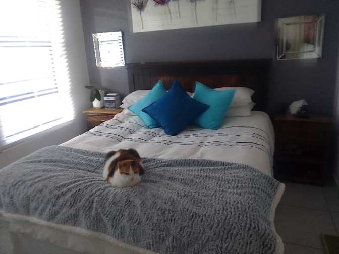Photo of Debbie Mocke's room