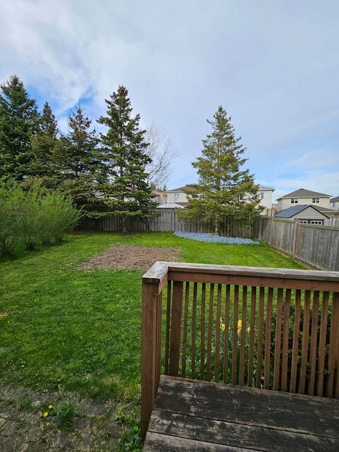 Geofrey Yamomo's room