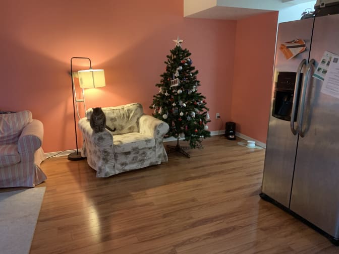 Tony and Eman's room