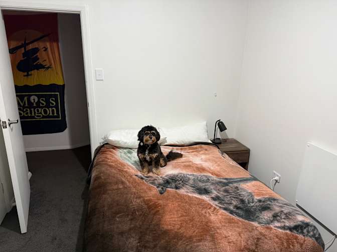 Photo of Scott's room