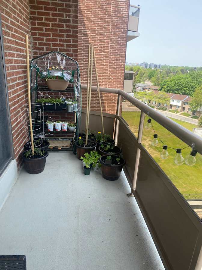 Photo of Vienna's room