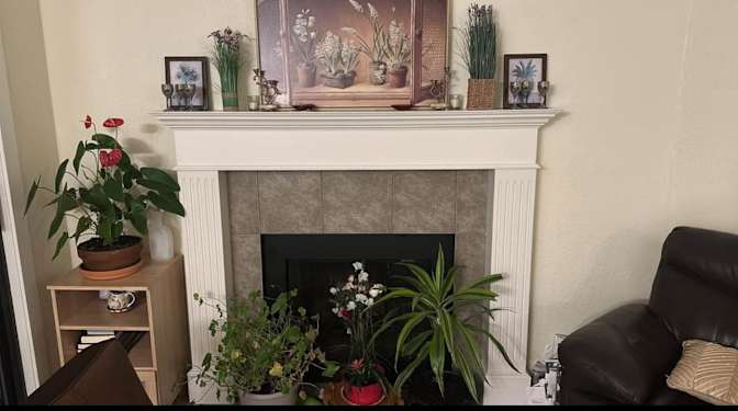 Arman Dadrass's room