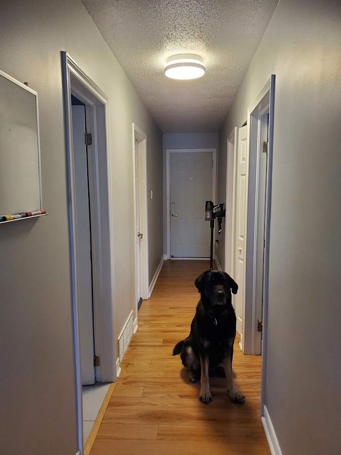 Photo of Cassie's room
