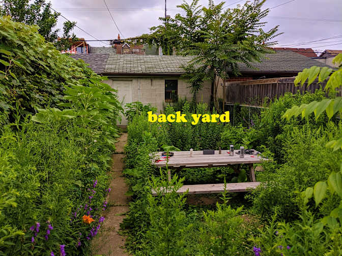 Run Down House's room