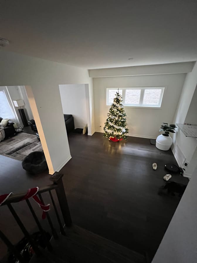 Krystil Lyttleton's room