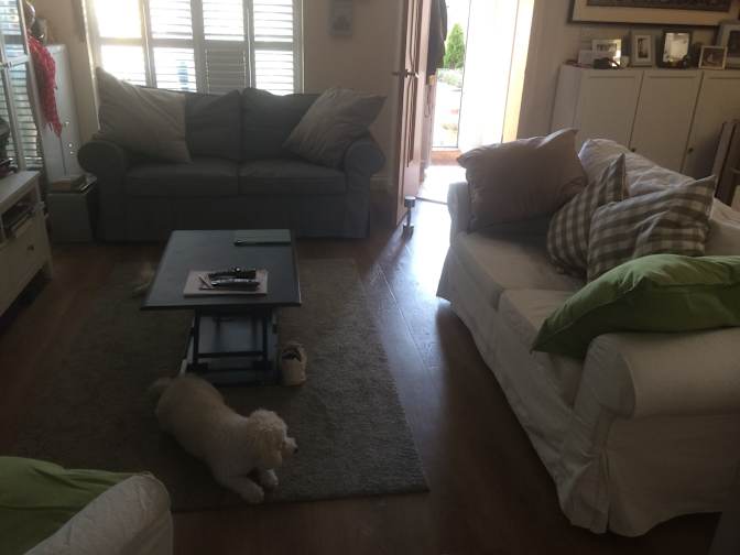 Photo of Paul's room
