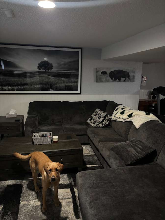 Photo of Travis's room