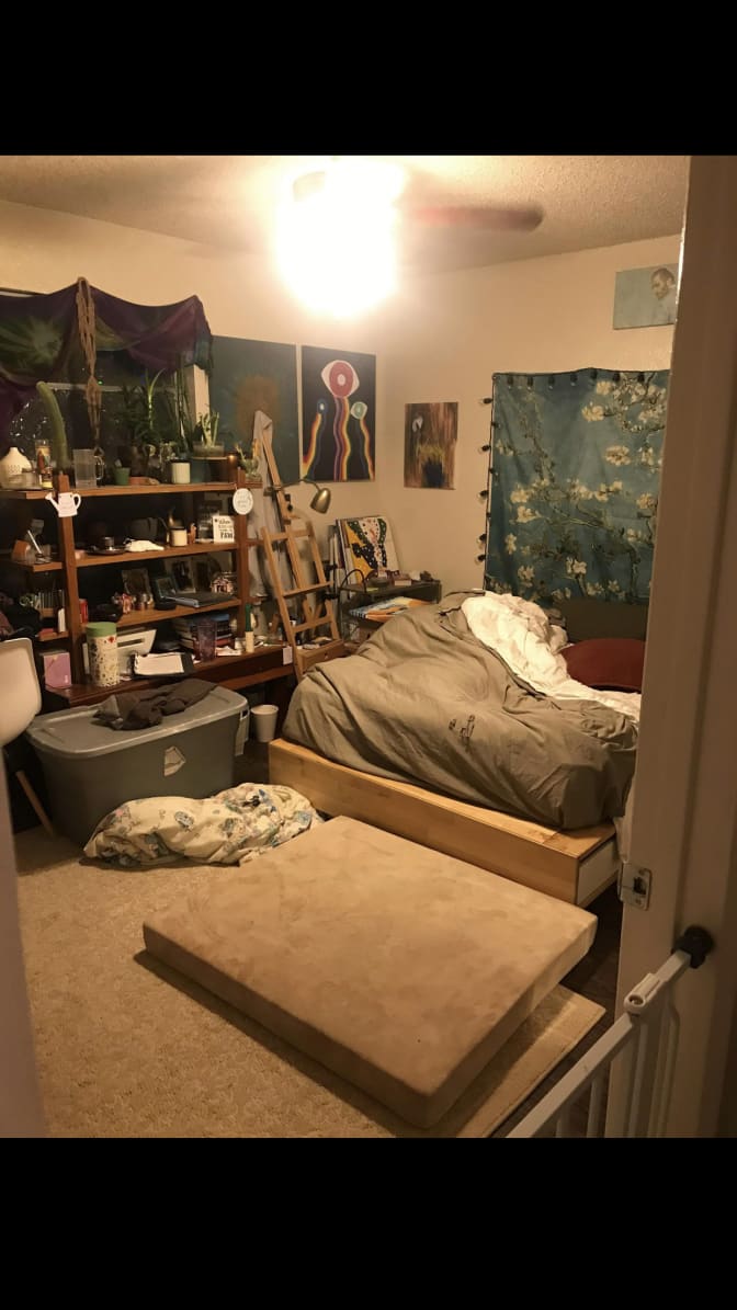 Photo of Andrea's room