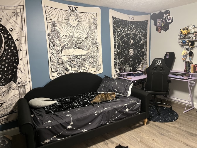 Photo of Katt's room