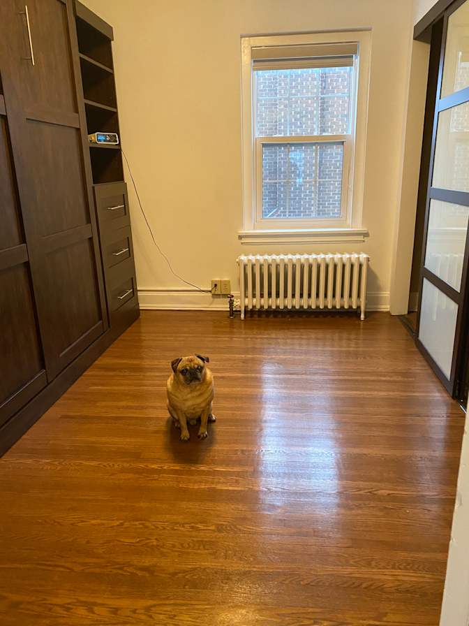 Photo of Ves's room