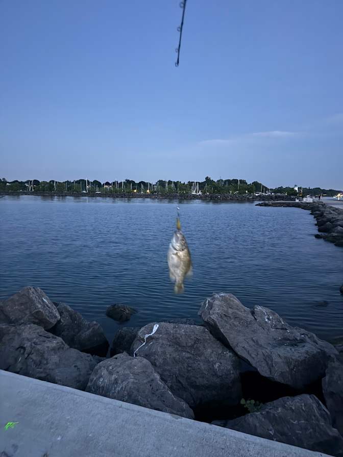 Photo of Bradley's room