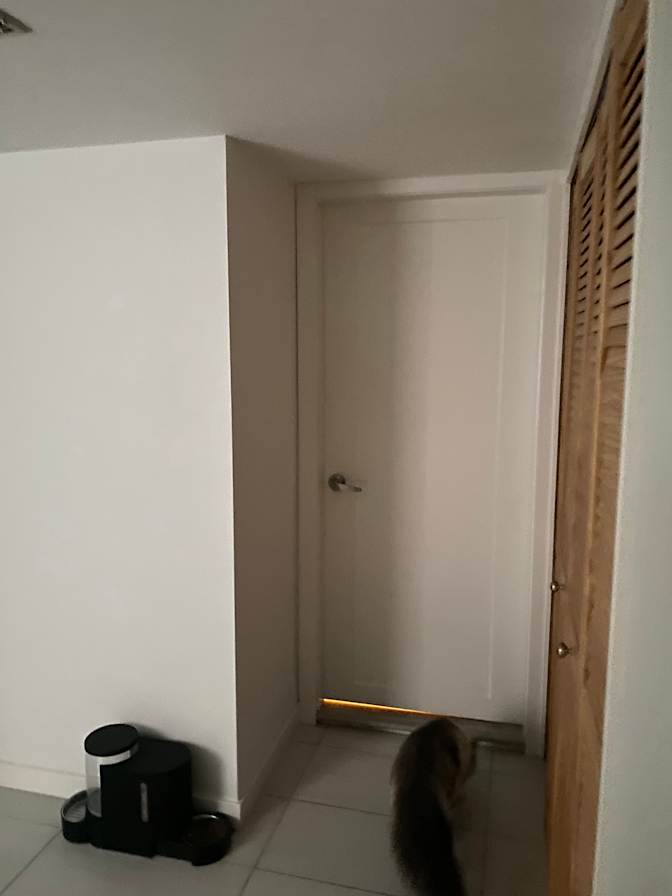 Photo of sophiebella's room