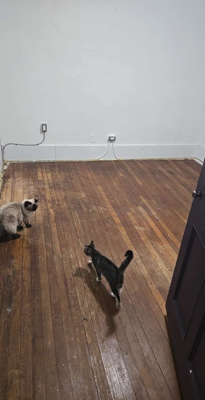 Photo of Matt's room