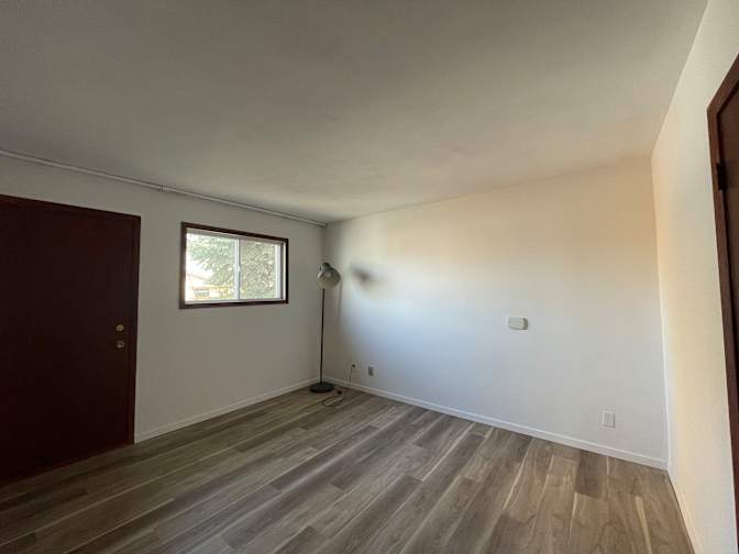 Photo of Jersey's room